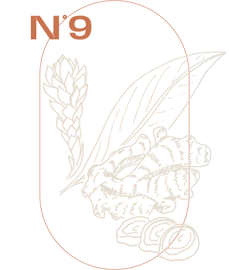 Ingwer