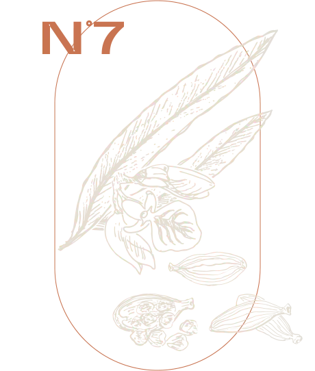 Kardamon