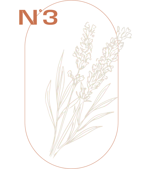 Lavendel