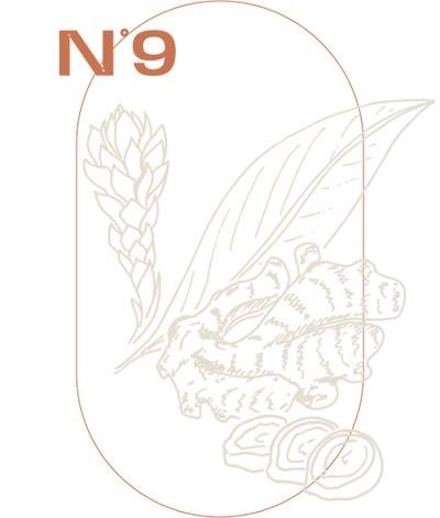 Ingwer