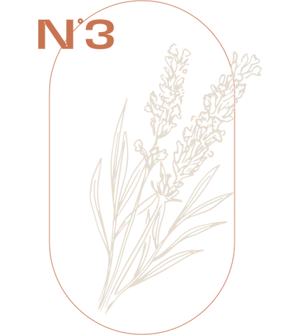 Lavendel