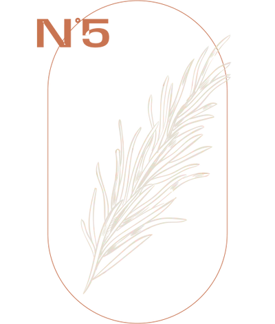 Rosmarin