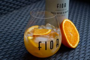 Orange Gin FIOR Fizz